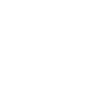 Arcadia Interactive logo